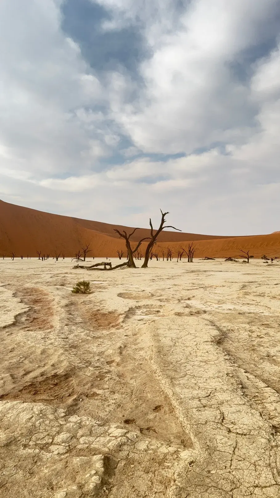 Swakopmund & Sandwich Harbour, Namibia